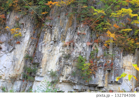紅葉する屛風岩／福島県南会津郡南会津町 132784306