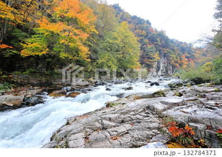 紅葉する屏風岩と伊南川/福島県南会津郡 南会津町 紅葉する屏風岩と伊南川/福島県南会津郡 南会津町 132784371