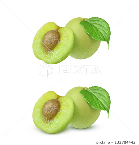 梅 イラスト リアル 梅の実 梅 イラスト リアル 梅の実 132784442