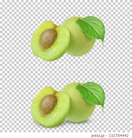 梅 イラスト リアル 梅の実 梅 イラスト リアル 梅の実 132784442