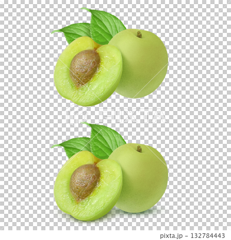 Plum illustration realistic plum fruit Plum illustration realistic plum fruit 132784443