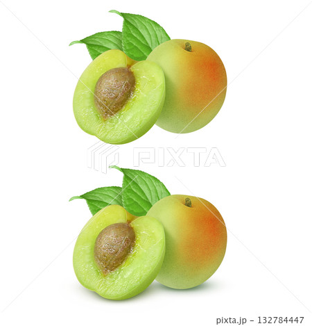 梅 イラスト リアル 梅の実 梅 イラスト リアル 梅の実 132784447