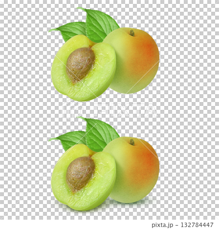 Plum illustration realistic plum fruit 132784447