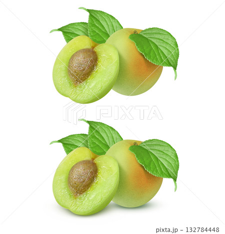 梅 イラスト リアル　梅の実 132784448