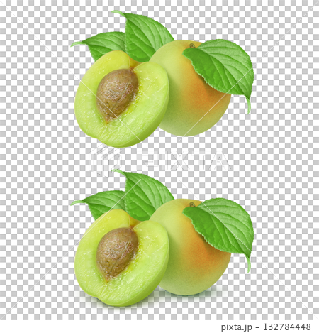 Plum illustration realistic plum fruit 132784448