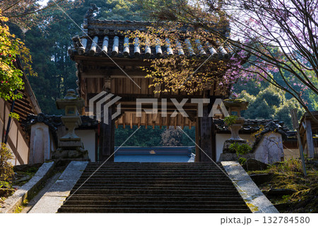 春の奈良 日本一の桜の名所 吉野山中千本 如意輪寺 春の奈良 日本一の桜の名所 吉野山中千本 如意輪寺 132784580