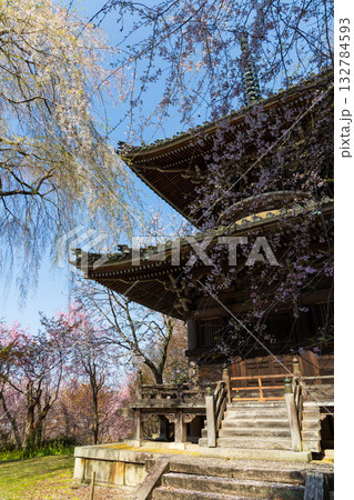 春の奈良　日本一の桜の名所　吉野山中千本　如意輪寺 132784593
