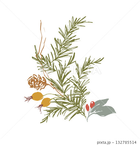 Whimsical Christmas floral card of berries, pine cone and branch. Hand-drawn vintage poster isolated on white background. Illustration for design, print, fabric or background. Whimsical Christmas floral card of berries, pine cone and branch. Hand-drawn vintage poster isolated on white background. Illustration for design, print, fabric or background. 132785514