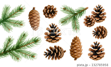 Watercolor Christmas illustration of fir branches and pine cones isolated on transparent or white background. 132785958