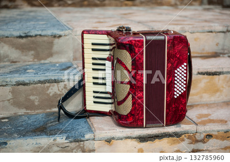 Musical instrument accordion 132785960