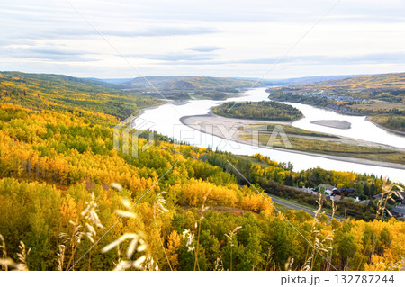 Majestic Peace River amidst yellow autumn forests. 132787244
