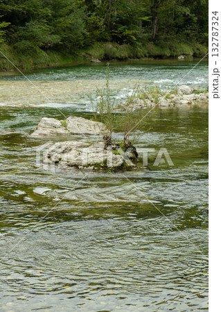 Wild River Flowing through Summer Forest 132787324