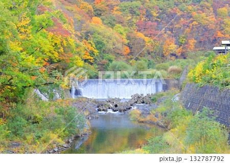 南会津町　舘岩川沿いの紅葉 132787792