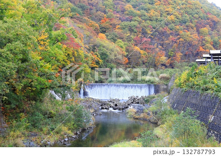 南会津町　舘岩川沿いの紅葉 132787793