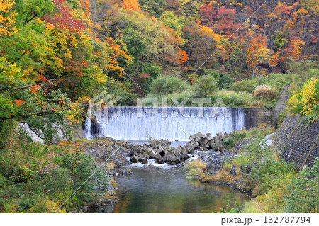 南会津町　舘岩川沿いの紅葉 132787794