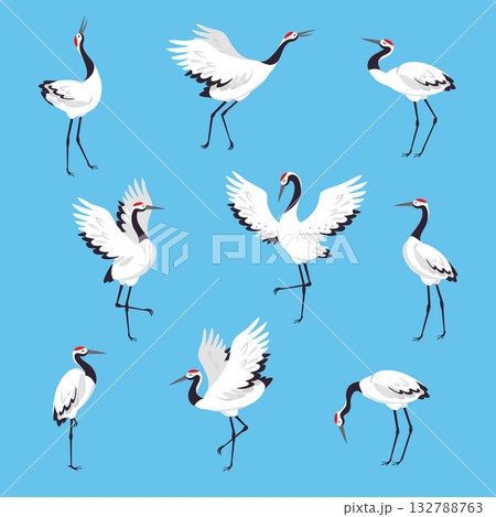Red Crowned Crane as Long-legged and Long-necked Bird in Different Pose on Blue Background Vector Set 132788763