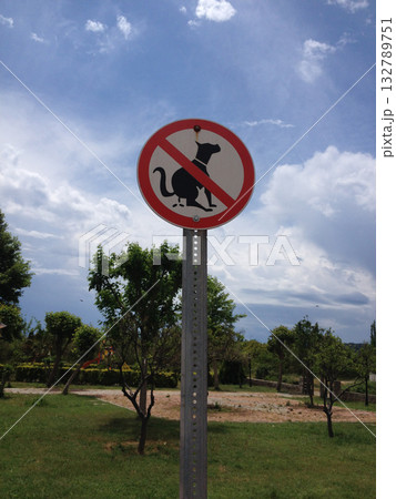 No dogs allowed sign against cloudy sky in a public park. Regulation, responsibility, and the visual language of shared spaces. 132789751