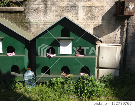 Green wooden shelters for stray cats near old wall. Compassion, coexistence, and community care for animals in Istanbul. 132789760
