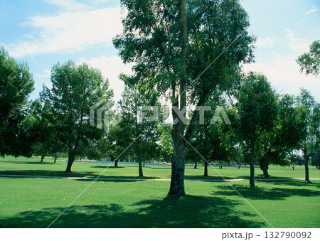 Material Dictionary Vol.94 Landscape of the Four Seasons and Peace. High quality photo Material Dictionary Vol.94 Landscape of the Four Seasons and Peace. High quality photo 132790092