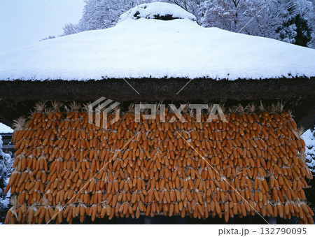 Dictionary of Materials Vol.122 Four Seasons. Scenery of Japan. High quality photo 132790095