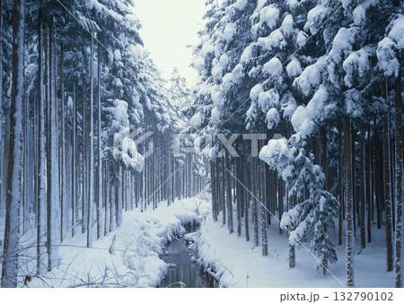 Dictionary of Materials Vol.122 Four Seasons. Scenery of Japan. High quality photo 132790102