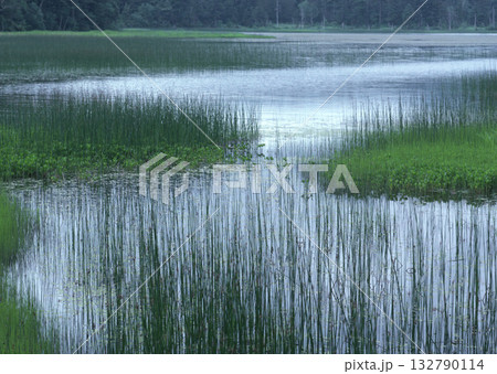Material Dictionary Vol.94 Landscape of the Four Seasons and Peace. High quality photo Material Dictionary Vol.94 Landscape of the Four Seasons and Peace. High quality photo 132790114
