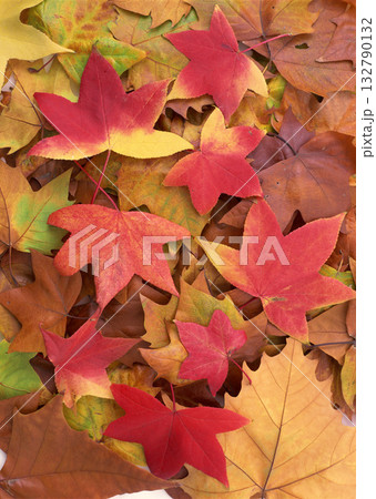 Dictionary of Materials Vol.122 Four Seasons. Scenery of Japan. High quality photo Dictionary of Materials Vol.122 Four Seasons. Scenery of Japan. High quality photo 132790132