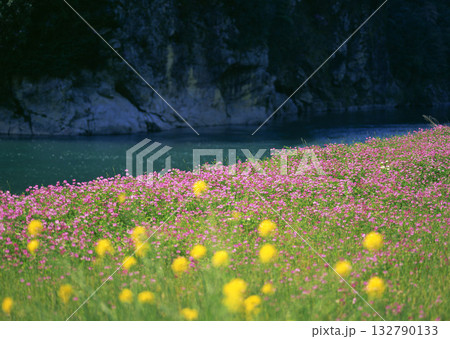 Dictionary of Materials Vol.122 Four Seasons. Scenery of Japan. High quality photo 132790133