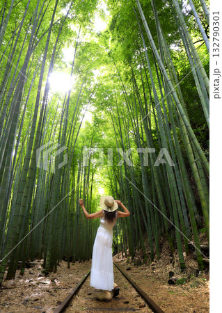 竹林を見上げる女性 竹林を見上げる女性 132790301