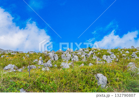 四国カルスト台地の風景 四国カルスト台地の風景 132790807