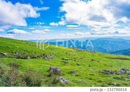 四国カルスト台地の風景　 132790818
