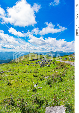 四国カルスト台地の風景 四国カルスト台地の風景 132790820