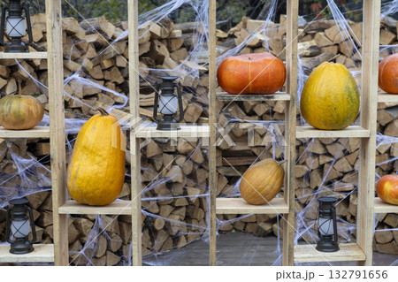 Large ripe pumpkins lie on the shelves of the rack, agricultural exhibition, Thanksgiving, Harvest Day Large ripe pumpkins lie on the shelves of the rack, agricultural exhibition, Thanksgiving, Harvest Day 132791656