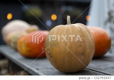 Large ripe pumpkins lie on a wooden tabletop, agricultural exhibition, Thanksgiving, Harvest Day 132791657