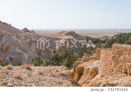 Aerial view of Chebika canyon and oasis. Tunisia 132791820