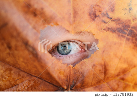 Close-up of a blue human eye peeking through heart-shaped hole in brown autumn leaf Close-up of a blue human eye peeking through heart-shaped hole in brown autumn leaf 132791932