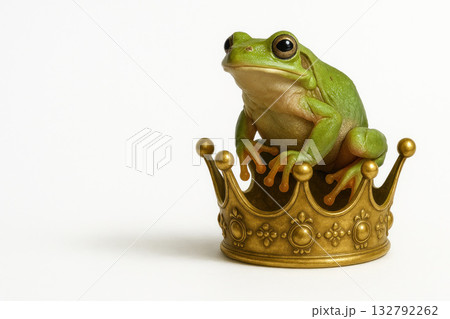 A green frog sits on a golden crown. Space for text. A green frog sits on a golden crown. Space for text. 132792262