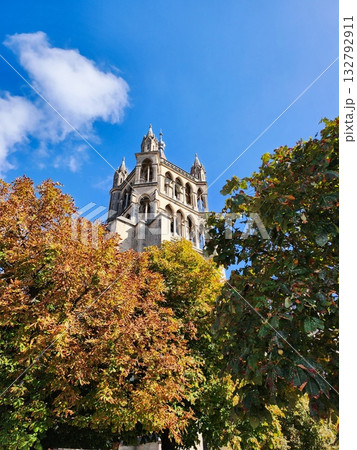 Autumn Leaves and Historic Tower 132792911