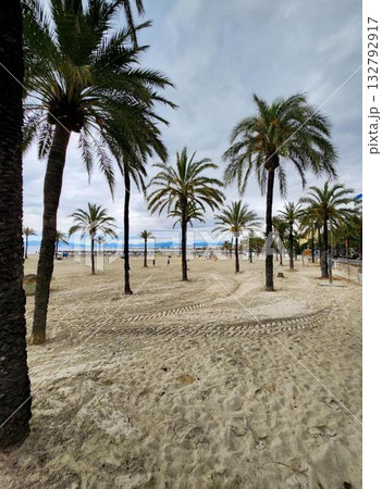 Palm Beach Sand Path Palm Beach Sand Path 132792917
