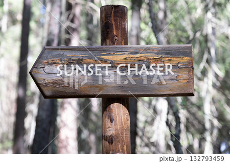 A rustic wooden sign points the way through a pine forest. It reads Sunset Chaser, inviting adventurers to seek the evening glow 132793459