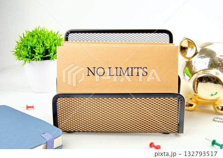 A desktop featuring a black organizer filled with brown papers displaying No Limits, a golden Piggy Bank, a potted plant, a notebook and push pins on a white surface A desktop featuring a black organizer filled with brown papers displaying No Limits, a golden Piggy Bank, a potted plant, a notebook and push pins on a white surface 132793517