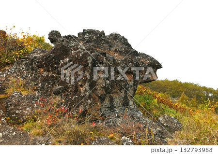 【南牧村　標高1450mの太平洋と日本海の分水嶺　野辺山高原「平沢峠」しし岩】 132793988