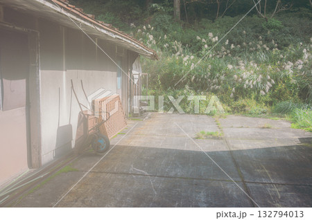 穏やか日だまりの中で【秋】 穏やか日だまりの中で【秋】 132794013