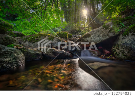 Monchique, Portugal, Sunlit waterfall gliding over mosscovered stones amidst autumn leaves, Calm waters cascade at Lowangle Creek surrounded by vibrant green moss 132794025