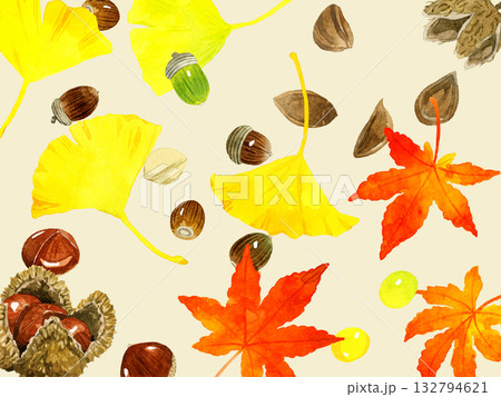 秋の落葉・木の実の背景 手描き水彩イラスト背景素材 秋の落葉・木の実の背景 手描き水彩イラスト背景素材 132794621