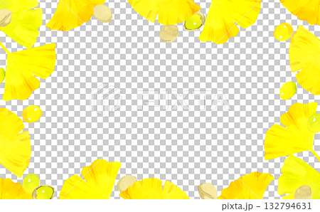 黄葉したイチョウの葉とギンナンの実のフレーム　秋の植物の手描き水彩イラスト背景素材 132794631