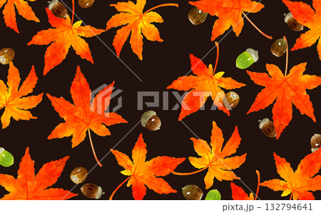 紅葉したもみじの葉とどんぐりの背景 秋の植物の手描き水彩イラスト素材 紅葉したもみじの葉とどんぐりの背景 秋の植物の手描き水彩イラスト素材 132794641