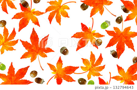 紅葉したもみじの葉とどんぐりの背景 秋の植物の手描き水彩イラスト素材 紅葉したもみじの葉とどんぐりの背景 秋の植物の手描き水彩イラスト素材 132794643