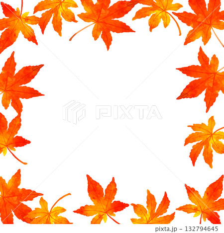 紅葉したもみじの葉のフレーム　秋の植物の手描き水彩イラスト背景素材 132794645