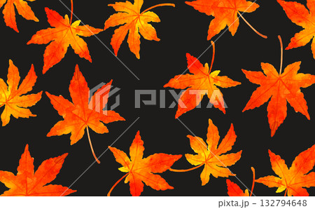 紅葉したもみじの葉の背景　秋の植物の手描き水彩イラスト素材 132794648
